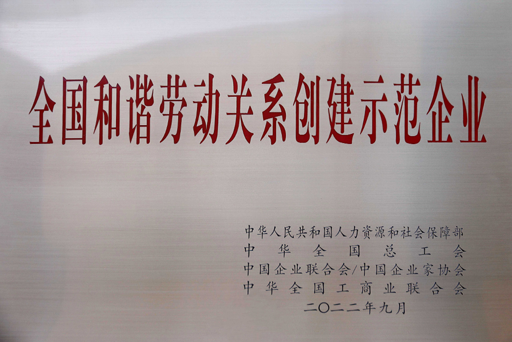 1579712605962846210.jpg 1579712605962846210.jpg